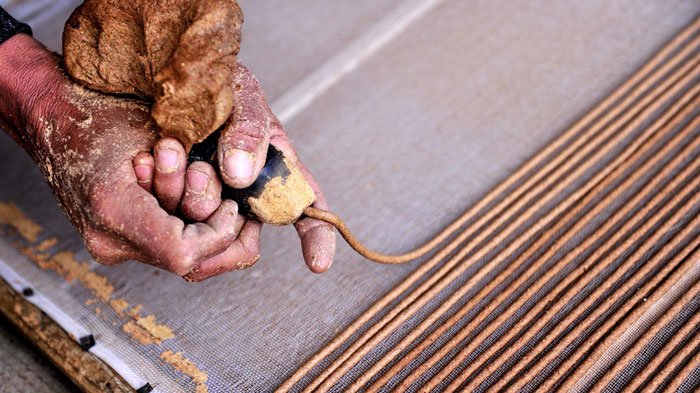 Making Tibetan Incense