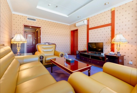 Spacious Executive Suite Living Area