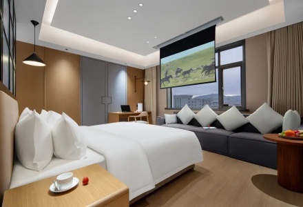 Deluxe king room with movie projector screen at Mullenlazone Shigatse Hotel