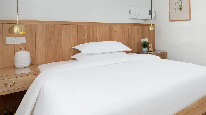 sockets in Tibet hotels