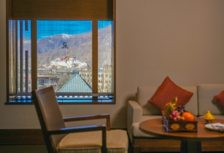 Potala Palace view from the room