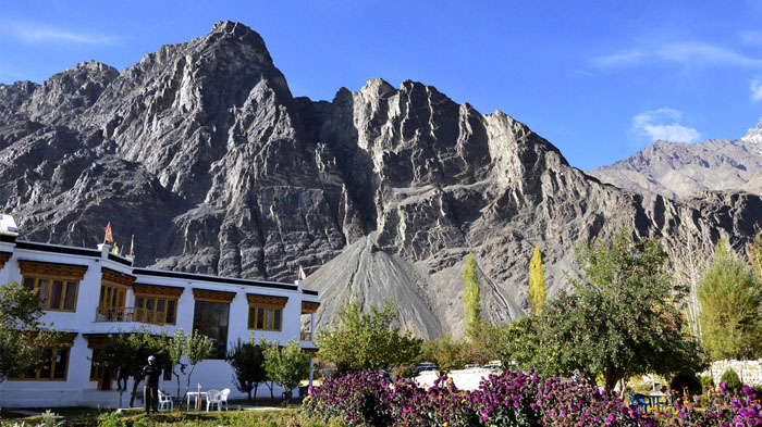 Snow Leopard Hotel