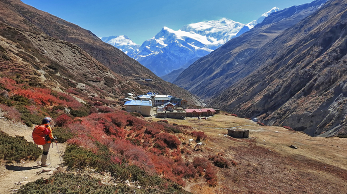 the Everest Base Camp Trek