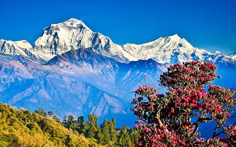 When is the Best Time to Visit Nepal and Tibet in 2024/2025? 