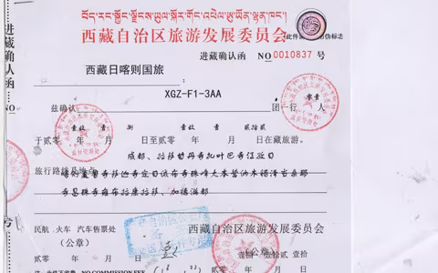 Heizn B*** from Switzerland made a tour to Tibet on Jan.8, 2019