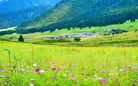 Enjoy Colorful Summer Landscapes