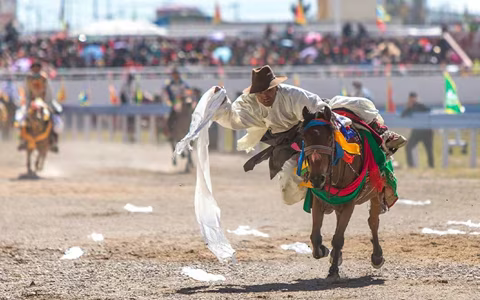 experience tibetan horse racing festival