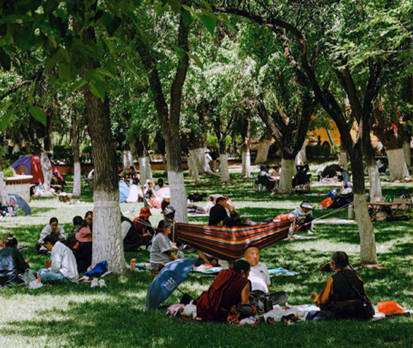 Enjoy Tibetan Linka Picnic during a Summer Tour