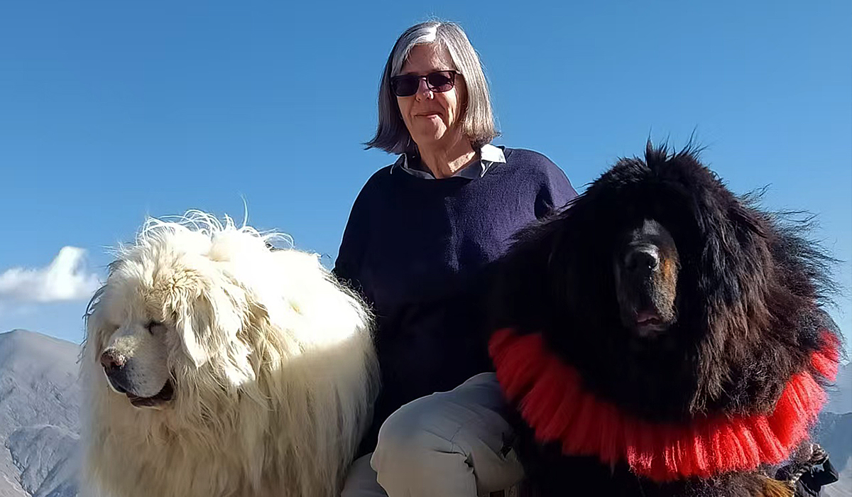 Take a Photo with Tibetan Mastiffs during the Journey to Yamdrok Lake