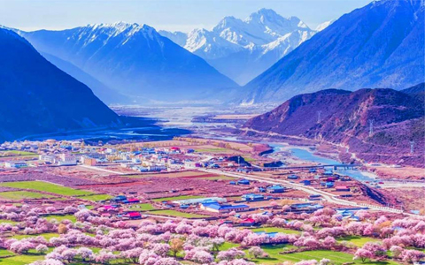 Visit Nyingchi in April and May