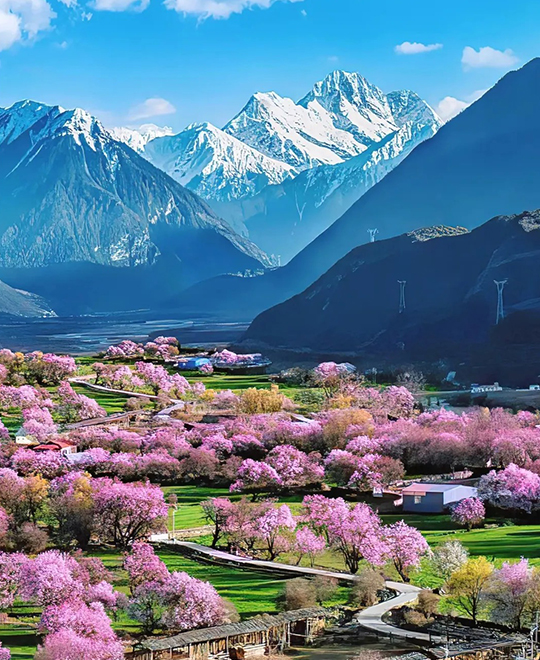 Tibet Nyingchi Tours in April and May