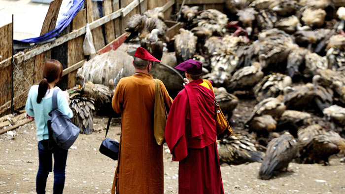 In the festival of Sky Burial, a human corpse is offered to the vultures.