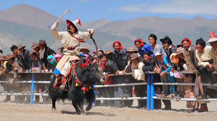 Yak Festival in Tibet