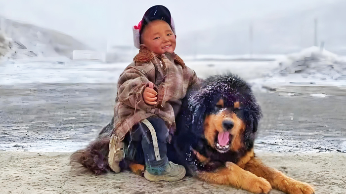 Tibetan Mastiff with Tibetan children