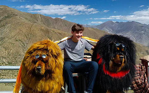 Tibetan Mastiffs: The Tibetans’ Best Friends