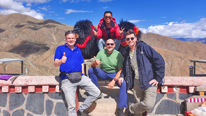 Tibetan Mastiffs