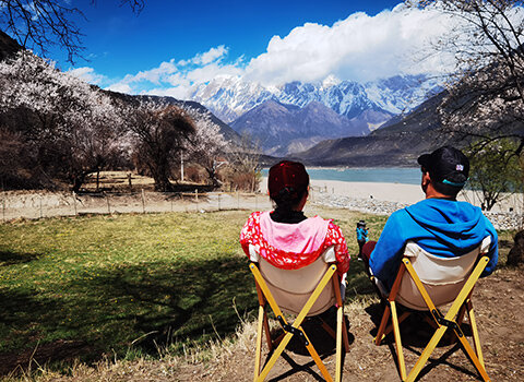 Enjoy Nyingchi Peach Blossom Festival