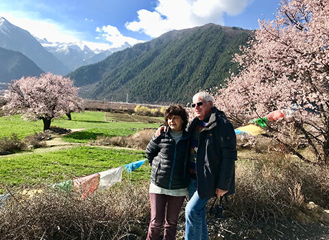 Experience Nyingchi Peach Blossom Festival