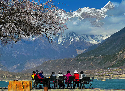 Tibet Spring Travel in Nyingchi