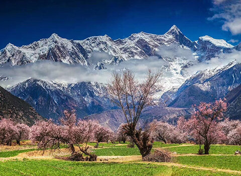 Stunning Spring View of Nyingchi
