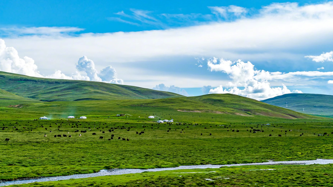 10 Days Lhasa to Everest Namtso Lake Summer tour