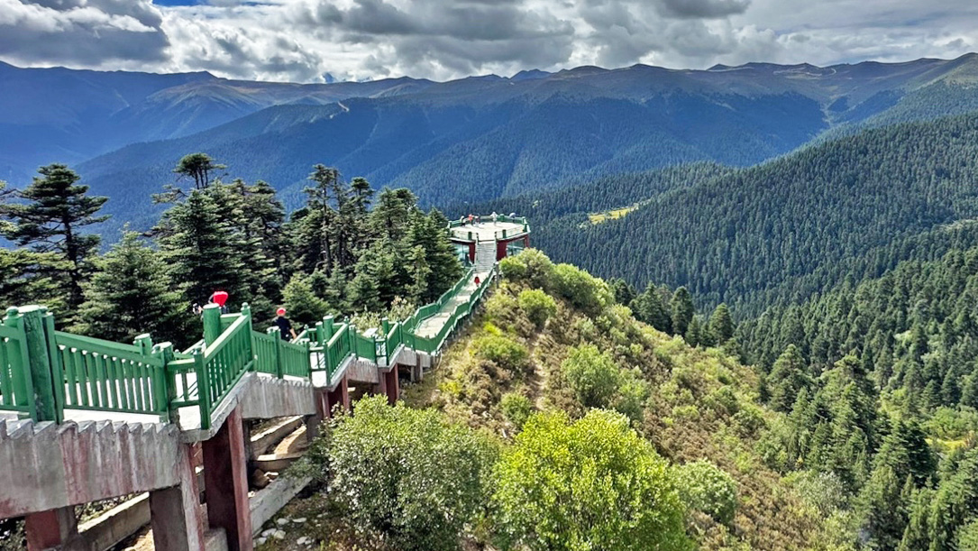 7 Days Nyingchi to Lhasa Summer Scenic Tour
