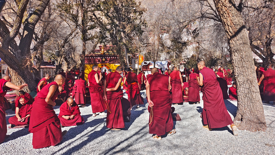 7 Days Nyingchi to Lhasa Summer Scenic Tour
