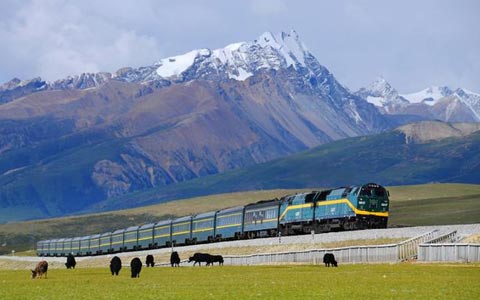 Advice on Tibet train tour for seniors