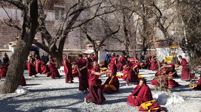 Dramatic monk debate in Sera Monastery