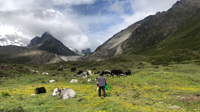 Scenery along the trekking route