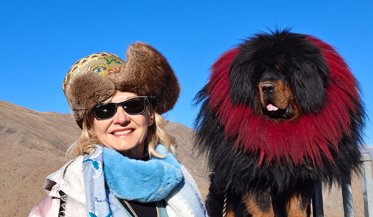Capture memorable moments with Tibetan Mastiffs