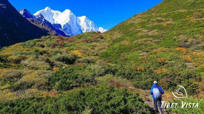 Spring is the best time to Gama Valley trekking tour