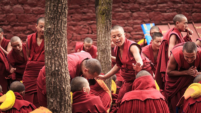 Tibetan monks