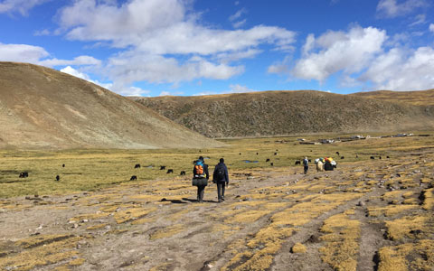 Top 10 Tibet Trekking Routes: Most Classic and Recommended in 2024