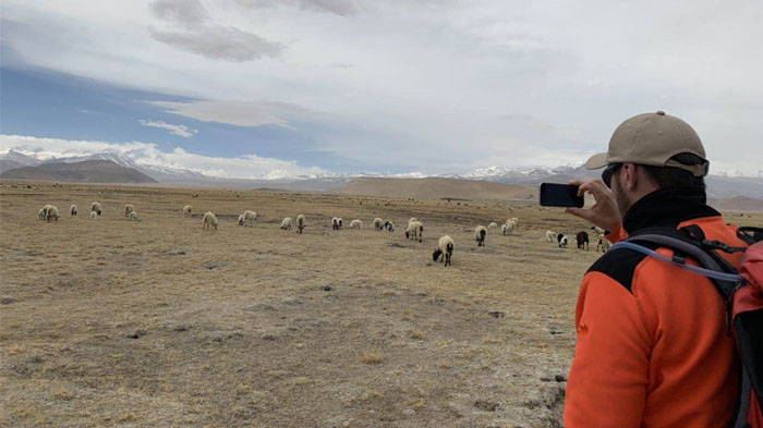  Wild animals in Tibet