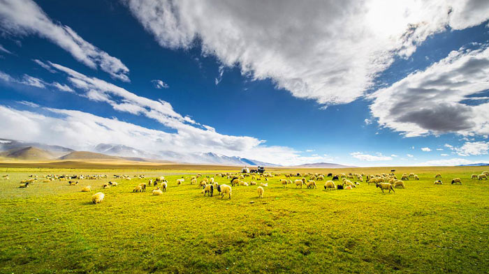 Tibetan Landscape during Best Seasons