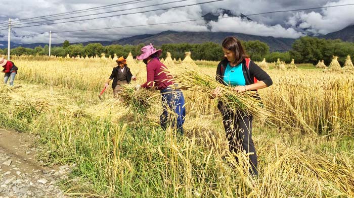 Join Locals Farm Labor