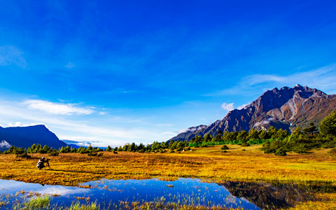 Tibet Valleys: the most famous valleys in Tibet