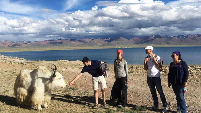 Feeding the cute Tibetan goat at the shore of Lake Namtso