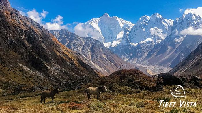 Mount Kanchenjunga in Nepal