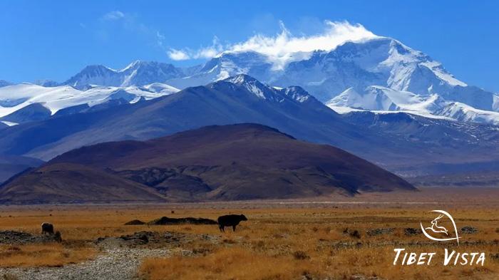 Visit Mount Cho Oyu in Tibet