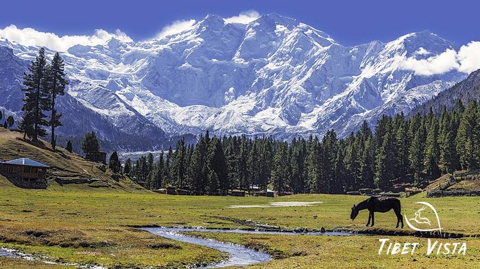 Mount Nanga Parbat in Pakistan