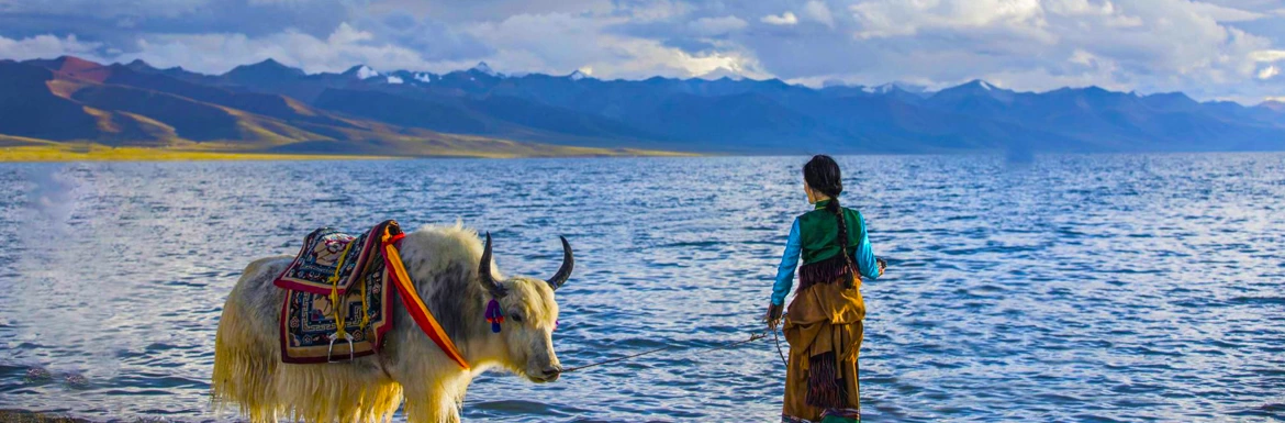12 Days Lhasa to Everest Base Camp and Natmso Lake Tour from Germany