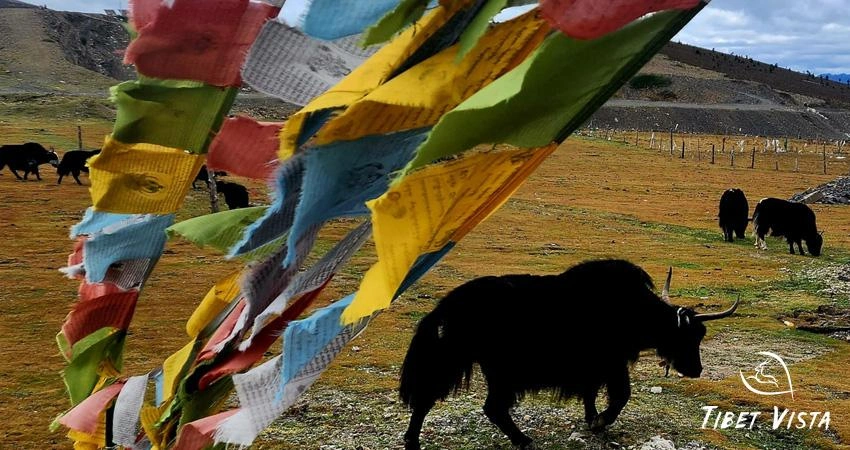 Chengdu to Tibet highway G318 via Maoya Grassland