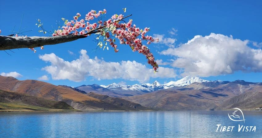Visit Yamdrok Lake via Lhasa to Everest Base Camp overland tour