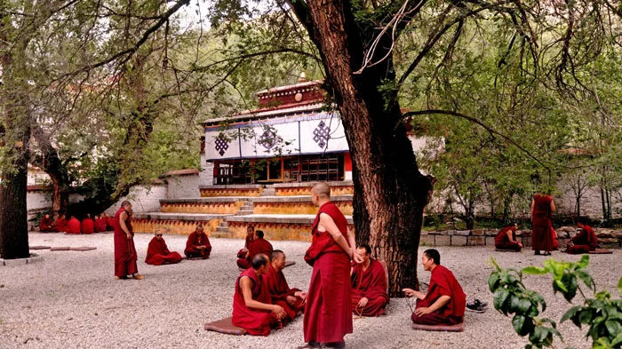 Monk Debating in Sera Monastery