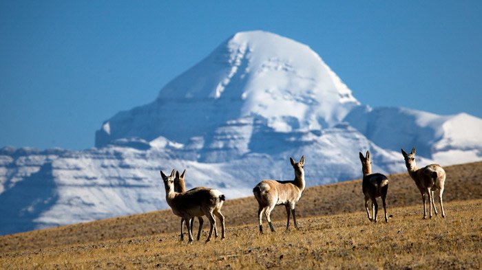 Mount Kailash