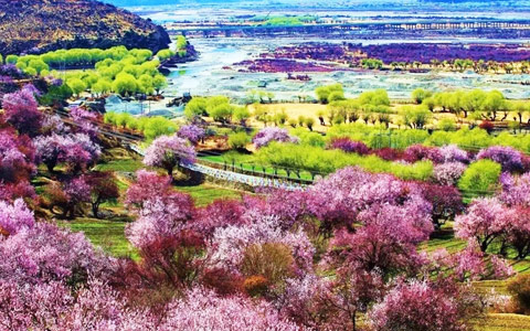 Travelling to Tibet in Different Seasons