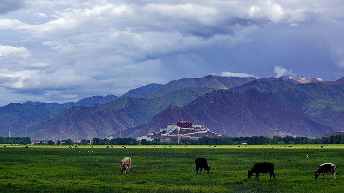 picturesque sights in Lhalu Wetlands