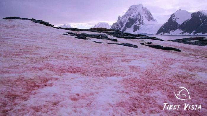 Himalayan Mountains